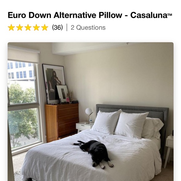Euro Down Alternative Pillow - Casaluna - Picture 4 of 4
